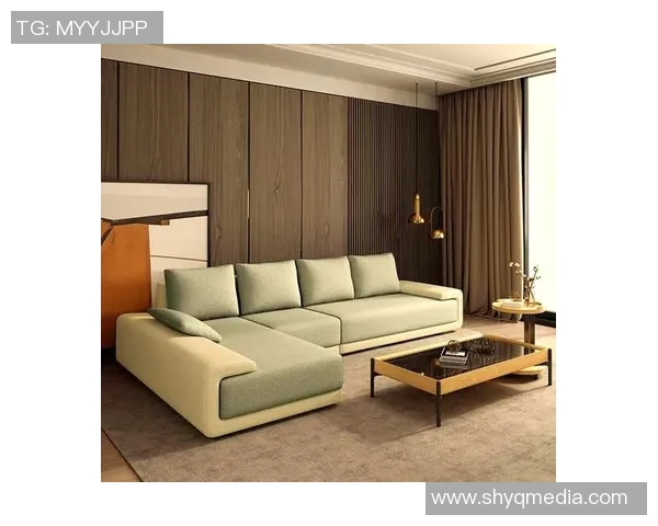 足球明星沙发推荐男士必备舒适休闲空间设计指南