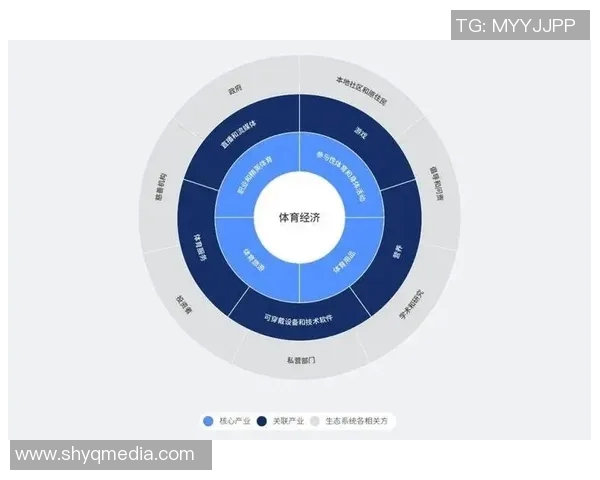 职业体育俱乐部盈利模式探讨与可持续发展策略研究 职业体育俱乐部盈利模式探讨与可持续发展策略研究